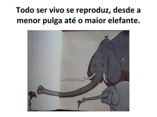 Todo ser vivo se reproduz, desde a
menor pulga até o maior elefante.
 