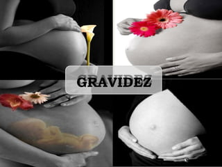 GRAVIDEZ
 