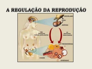 A REGULAÇÃO DA REPRODUÇÃO
 