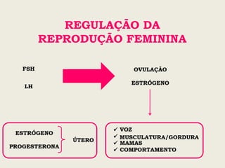 REGULAÇÃO DA
REPRODUÇÃO FEMININA
FSH
LH
✓
✓ MUSCULATURA/GORDURA
✓
✓
 