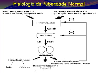 Fisiologia da Puberdade Normal




                                 6
 