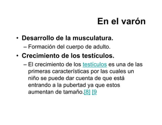 PUBERTAD