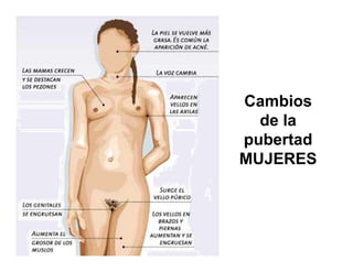 PUBERTAD