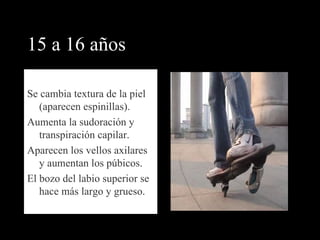 15 a 16 años Se cambia textura de la piel (aparecen espinillas). Aumenta la sudoración y transpiración capilar. Aparecen los vellos axilares y aumentan los púbicos. El bozo del labio superior se hace más largo y grueso. 