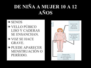 DE NIÑA A MUJER 10 A 12 AÑOS SENOS VELLO PÚBICO LISO Y CADERAS SE ENSANCHAN. VOZ SE HACE GRAVE. PUEDE APARECER MENSTRUACIÓN O  PERÍODO. 