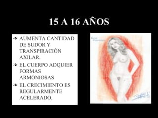 15 A 16 AÑOS AUMENTA CANTIDAD DE SUDOR Y TRANSPIRACIÓN AXILAR. EL CUERPO ADQUIER FORMAS ARMONIOSAS EL CRECIMIENTO ES REGULARMENTE ACELERADO. 
