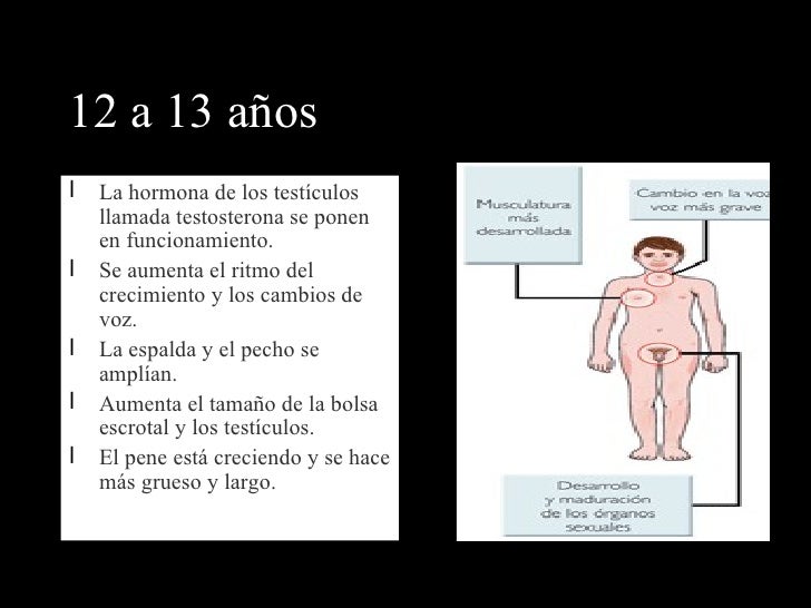 Aumentar el miembro por el método público