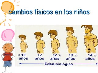 cambios físicos en los niños

 
