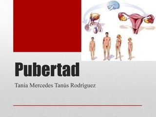 Pubertad 
Tania Mercedes Tanús Rodríguez 
 