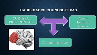 HABILIDADES COGNOSCITIVAS
CORTEZA
PRE FRONTAL
Pensar
Evaluar
Juicios
Controla Impulsos
