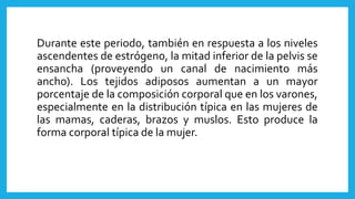 Durante este periodo, también en respuesta a los niveles
ascendentes de estrógeno, la mitad inferior de la pelvis se
ensancha (proveyendo un canal de nacimiento más
ancho). Los tejidos adiposos aumentan a un mayor
porcentaje de la composición corporal que en los varones,
especialmente en la distribución típica en las mujeres de
las mamas, caderas, brazos y muslos. Esto produce la
forma corporal típica de la mujer.
 