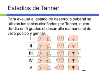 Estadios de Tanner
Para evaluar el estado de desarrollo puberal se
utilizan las tablas diseñadas por Tanner, quien
dividió en 5 grados el desarrollo mamario, el de
vello púbico y genital.
 