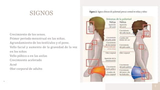 SIGNOS
Crecimiento de los senos.
Primer período menstrual en las niñas.
Agrandamiento de los testículos y el pene.
Vello facial y aumento de la gravedad de la voz
en los niños
Vello púbico o en las axilas
Crecimiento acelerado
Acné
Olor corporal de adulto
.
5
 