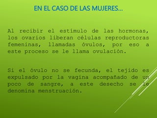 EN EL CASO DE LAS MUJERES…
Al recibir el estímulo de las hormonas,
los ovarios liberan células reproductoras
femeninas, llamadas óvulos, por eso a
este proceso se le llama ovulación.
Si el óvulo no se fecunda, el tejido es
expulsado por la vagina acompañado de un
poco de sangre, a este desecho se le
denomina menstruación.
 