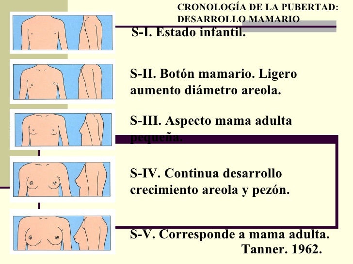 Aumentar el pecho el hombre
