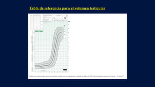 Tabla de referencia para el volumen testicular
 