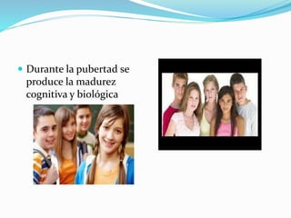  Durante la pubertad se 
produce la madurez 
cognitiva y biológica 
 