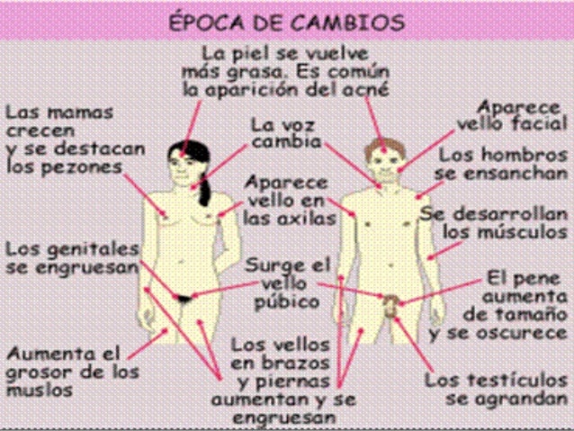 Contacto con chicas maduras para relación.