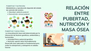 RELACIÓN
ENTRE
PUBERTAD,
NUTRICIÓN Y
MASA ÓSEA
Obesidad: adelanto puberal
Desnutrición: retraso puberal
PUBERTAD Y NUTRICIÓN:
Metabolismo y reproducción depende del estado
de nutrición del cerebro.
Actividad física: potencial genético
Nutrición: aporta calcio favorablemente
PUBERTAD Y MASA ÓSEA:
La mineralización ósea está determinada por la
interacción de factores genéticos, ambientales y
hormonales.
Desarrollo óseo adecuado es fundamental para
evitar la osteoporosis y osteopenia en edades
futuras
 