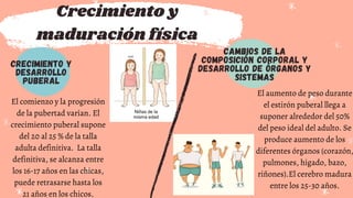 Crecimiento y
maduración física
CRECIMIENTO Y
DESARROLLO
PUBERAL
El comienzo y la progresión
de la pubertad varían. El
crecimiento puberal supone
del 20 al 25 % de la talla
adulta definitiva. La talla
definitiva, se alcanza entre
los 16-17 años en las chicas,
puede retrasarse hasta los
21 años en los chicos.
CAMBIOS DE LA
COMPOSICIÓN CORPORAL Y
DESARROLLO DE ÓRGANOS Y
SISTEMAS
El aumento de peso durante
el estirón puberal llega a
suponer alrededor del 50%
del peso ideal del adulto. Se
produce aumento de los
diferentes órganos (corazón,
pulmones, hígado, bazo,
riñones).El cerebro madura
entre los 25-30 años.
 