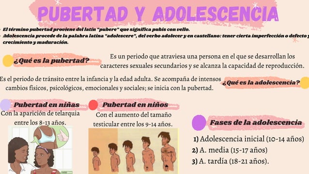 Pubertad y adolescencia