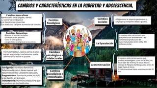 Cambios masculinos
Cambios femeninos
-Aparece el vello en las axilas.
-Se destacan los pezones.
-Crece el vello púbico.
-Los genitales se engrosan y oscurecen.
Cambios
psicológicos e
intelectuales
Cambios y características en la pubertad y adolescencia.
Estrógenos: hormona femenina.
Relacionada con el deseo sexual y el
desarrollo de los caracteres sexuales.
Progesterona: hormona protectora de
la gestación en la mujer.
Testosterona: Hormona masculina que
se produce en los testículos.
A la persona le importa pertenecer a
un grupo y compartir ideas o gustos.
La Eyaculación
La menstruación
Aparece vello facial (bigote y barba)
-La voz se hace más grave
-Los hombros se ensanchan
-Los testículos y el pene aumentan de tamaño
El cerebro indica a los testículos
que produzcan testosterona y así
comienza la producción de
espermatozoides (entre 100 y 300
millones al día).
Formula hipótesis, razona acerca de ellas y
extraer sus propias conclusiones, puede
diferenciar lo real de lo posible.
Cambios
psicológicos e
intelectuales
Cambios
sociales
El cerebro indica a los ovarios que
produzcan estrógeno y una vez al mes, un
óvulo sale del ovario y se lanza de una
trompa de Falopio donde aguarda antes de
llegar hasta el útero.
El ciclo menstrual tiene una duracion de 28
dias
Cambios
fisiológicos
 
