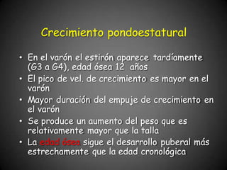 • En el varón el estirón aparece tardíamente
(G3 a G4), edad ósea 12 años
• El pico de vel. de crecimiento es mayor en el
varón
• Mayor duración del empuje de crecimiento en
el varón
• Se produce un aumento del peso que es
relativamente mayor que la talla
• La edad ósea sigue el desarrollo puberal más
estrechamente que la edad cronológica
Crecimiento pondoestatural
 