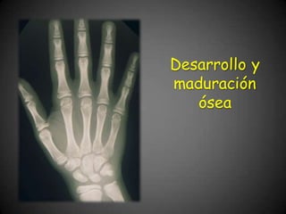 Desarrollo y
maduración
ósea
 