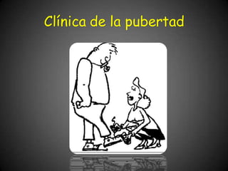 Clínica de la pubertad
 