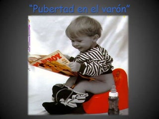 “Pubertad en el varón”
 