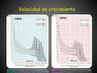 Velocidad de crecimiento
 