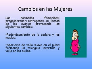 Cambios en las Mujeres
Las hormonas femeninas:
progesterona y estrógenos, se liberan
de los ovarios provocando los
siguientes cambios:
•Redondeamiento de la cadera y los
muslos.
•Aparición de vello suave en el pubis
formando un triángulo invertido y
vello en las axilas.
 