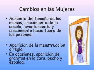 Cambios en las Mujeres
• Aumento del tamaño de las
mamas, crecimiento de la
areola, levantamiento y
crecimiento hacia fuera de
los pezones.
• Aparición de la menstruación
o regla.
• En ocasiones, aparición de
granitos en la cara, pecho y
espalda.
 