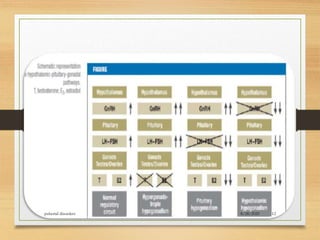 8/28/2020pubertal disorders 12
 