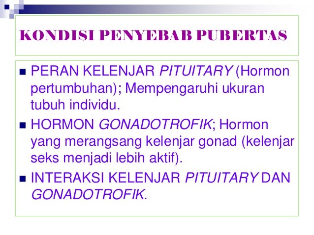Pubertas Remaja PPT