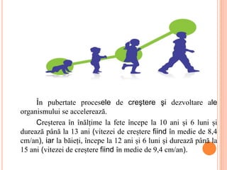 În pubertate procesele de creştere şi dezvoltare ale
organismului se accelerează.
Creșterea în înălțime la fete începe la 10 ani și 6 luni și
durează până la 13 ani (vitezei de creștere fiind în medie de 8,4
cm/an), iar la băieți, începe la 12 ani și 6 luni și durează până la
15 ani (vitezei de creștere fiind în medie de 9,4 cm/an).
 