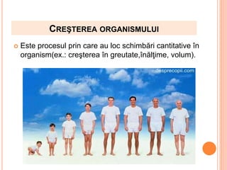 CREŞTEREA ORGANISMULUI
 Este procesul prin care au loc schimbări cantitative în
organism(ex.: creşterea în greutate,înălţime, volum).
 