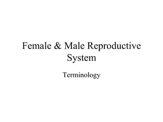 Female & Male Reproductive System Terminology 