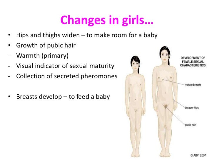 the importance of controlling sexual impulse before puberty the importance of controlling sexual impulse before puberty