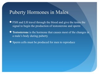 Puberty Hormones in Males
FSH and LH travel through the blood and give the testes the
 signal to begin the production of testosterone and sperm

Testosterone is the hormone that causes most of the changes in
 a male’s body during puberty

Sperm cells must be produced for men to reproduce
 