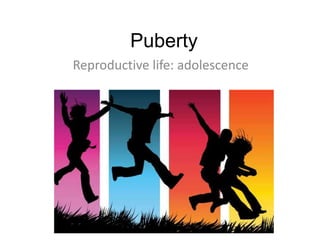 Puberty
Reproductive life: adolescence
 