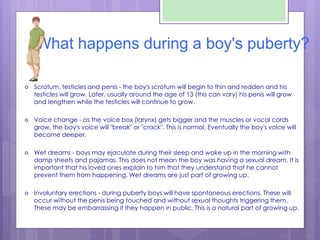 What happens during a boy's puberty?
 Scrotum, testicles and penis - the boy's scrotum will begin to thin and redden and ...