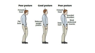 Stages of Growth and Development. ppt for free | PPTX