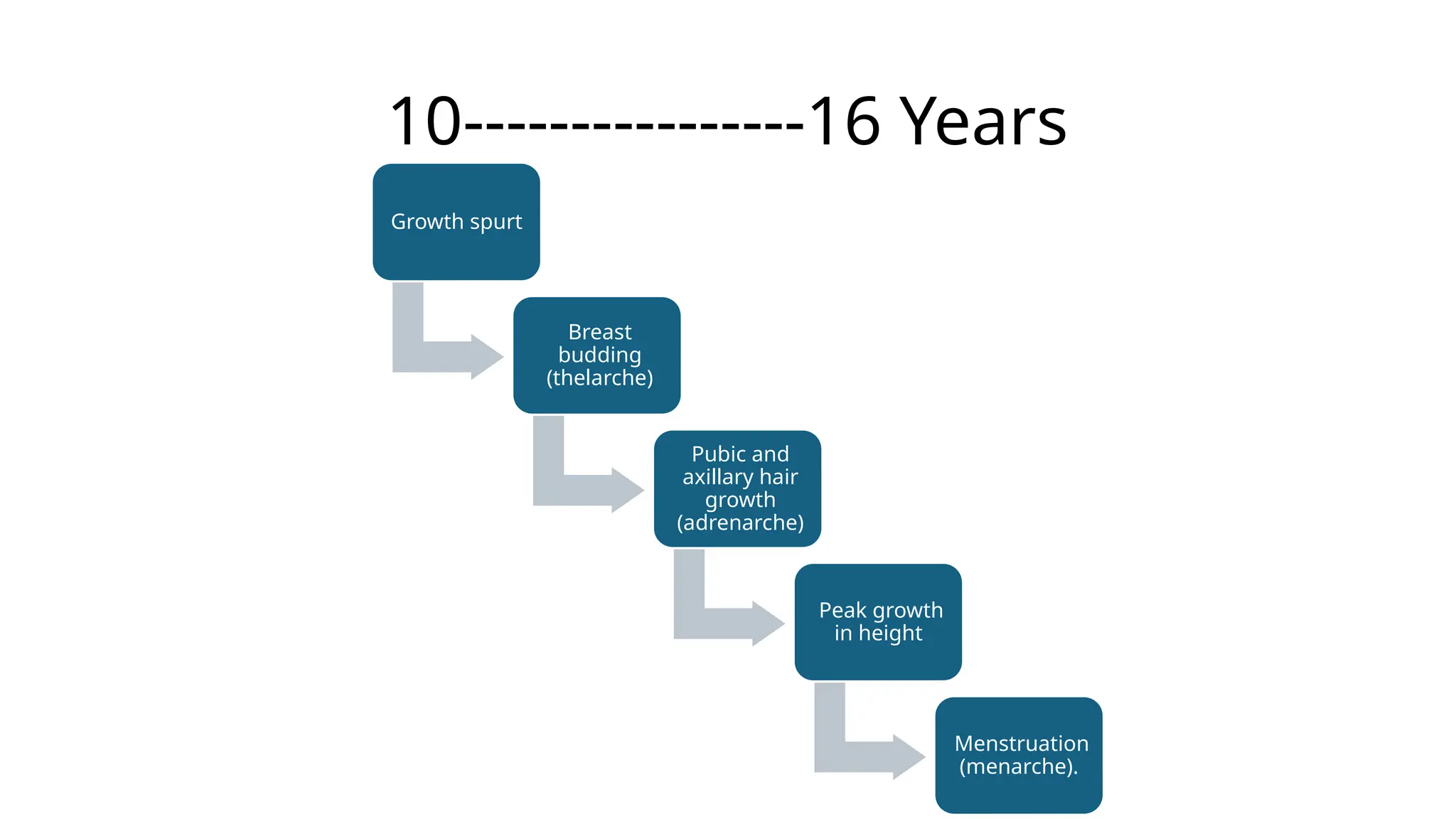 10----------------16 Years
Growth spurt
Breast
budding
(thelarche)
Pubic and
axillary hair
growth
(adrenarche)
Peak growth
in height
Menstruation
(menarche).
 