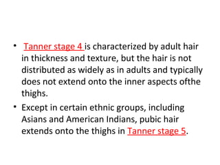 • Tanner stage 4 is characterized by adult hair 
in thickness and texture, but the hair is not 
distributed as widely as in adults and typically 
does not extend onto the inner aspects ofthe 
thighs. 
• Except in certain ethnic groups, including 
Asians and American Indians, pubic hair 
extends onto the thighs in Tanner stage 5. 
 