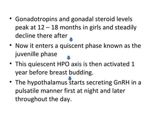 • Gonadotropins and gonadal steroid levels 
peak at 12 – 18 months in girls and steadily 
decline there after 
• Now it enters a quiscent phase known as the 
juvenille phase 
• This quiescent HPO axis is then activated 1 
year before breast budding. 
• The hypothalamus starts secreting GnRH in a 
pulsatile manner first at night and later 
throughout the day. 
 
