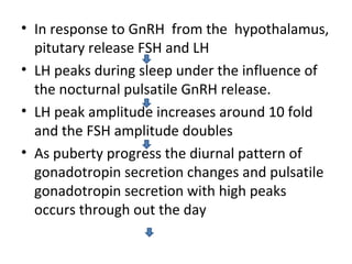 • In response to GnRH from the hypothalamus, 
pitutary release FSH and LH 
• LH peaks during sleep under the influence of 
the nocturnal pulsatile GnRH release. 
• LH peak amplitude increases around 10 fold 
and the FSH amplitude doubles 
• As puberty progress the diurnal pattern of 
gonadotropin secretion changes and pulsatile 
gonadotropin secretion with high peaks 
occurs through out the day 
 
