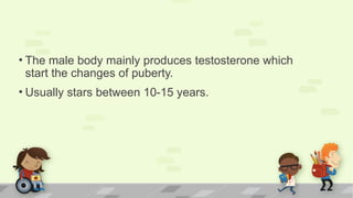 • The male body mainly produces testosterone which
start the changes of puberty.
• Usually stars between 10-15 years.
 