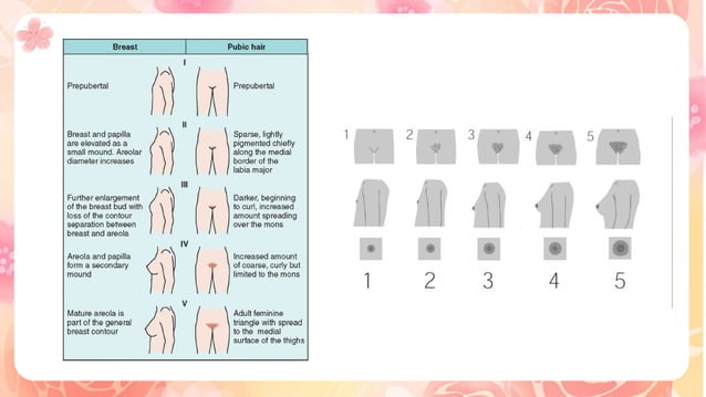 PUBERTY - GIRLS. A presentation for school students. | PPTX