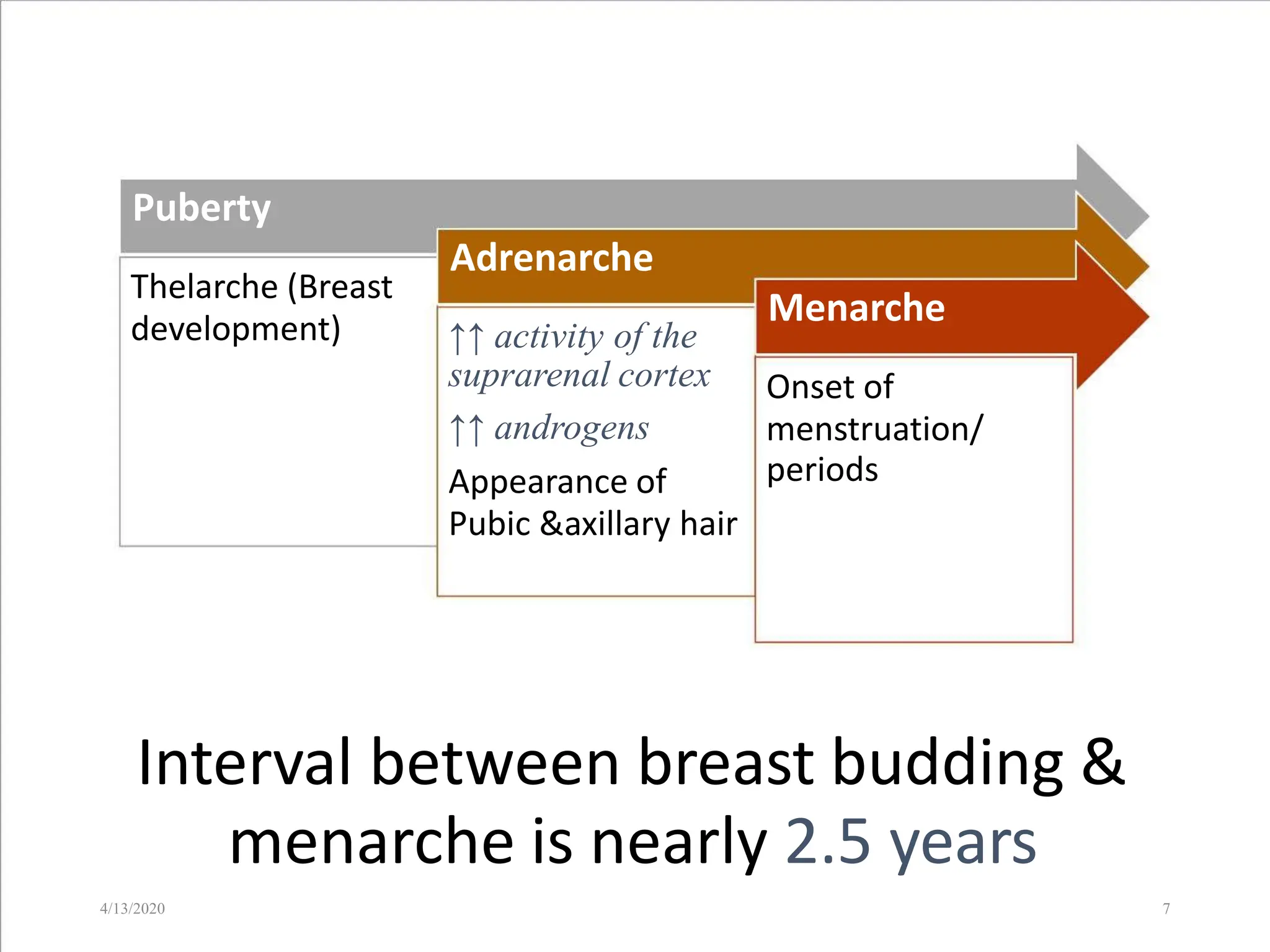 about-puberty-normal-abnormal-ppt-1-pptx